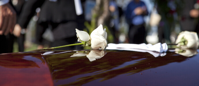 white rose on coffin