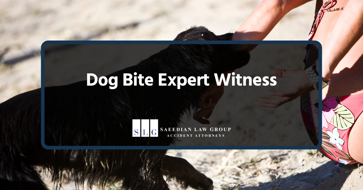 dog bite expert witness