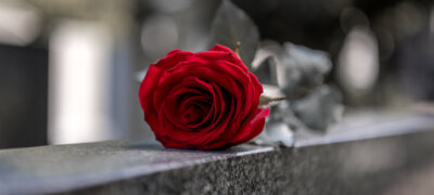 Rose on a tombstone