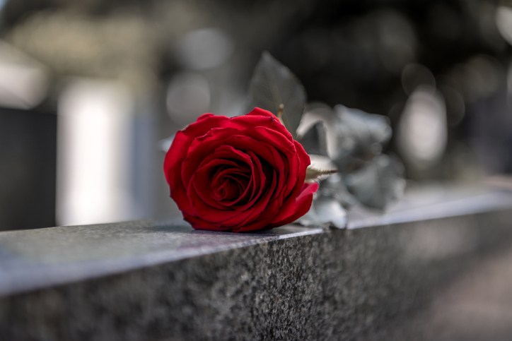Rose on a tombstone