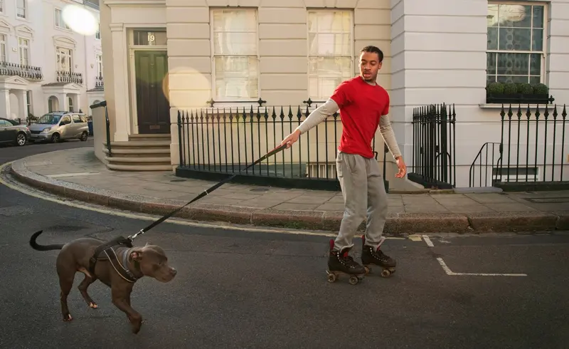 An Overview of Dog Bite Liability in Anaheim, California